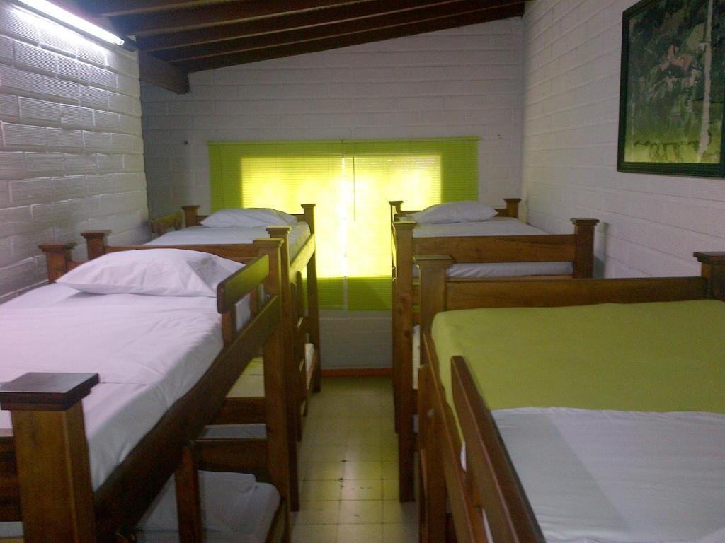 Spring City Hostel Μεντεγίν Εξωτερικό φωτογραφία