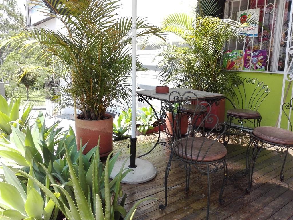 Spring City Hostel Μεντεγίν Εξωτερικό φωτογραφία