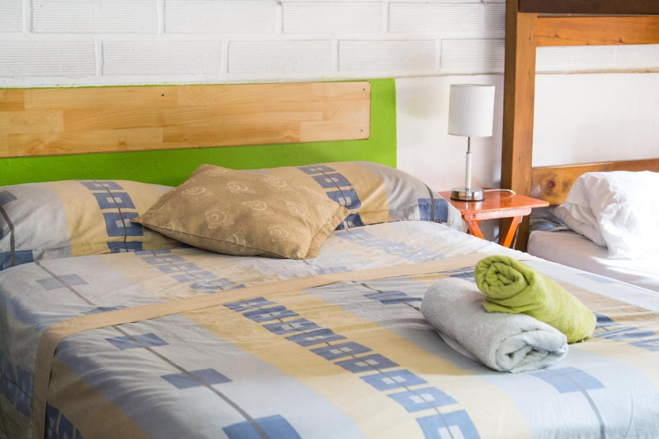 Spring City Hostel Μεντεγίν Εξωτερικό φωτογραφία